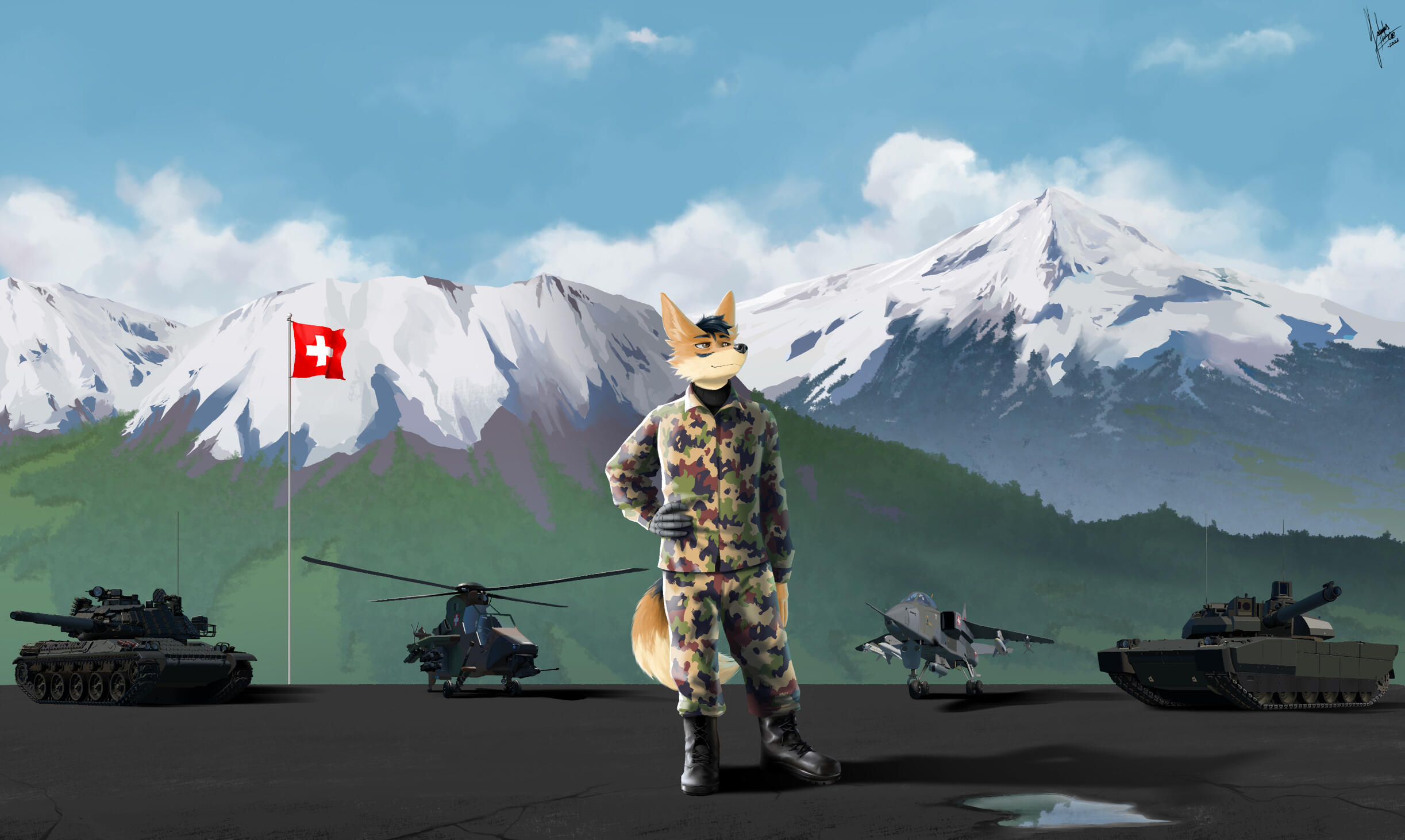 Ccau81 and his favorite military vehicles